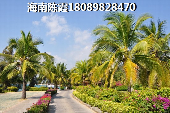 在五指山买房的优缺点2