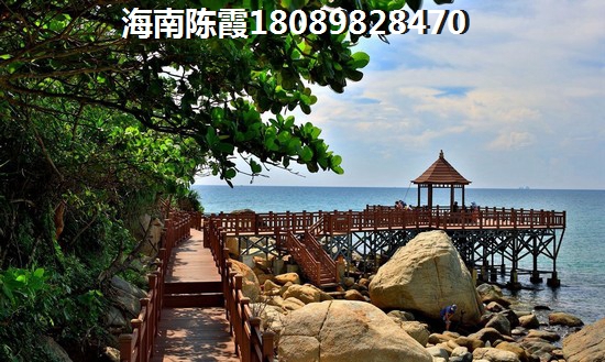 海南五指山和洋浦哪个区适合touzi买房？